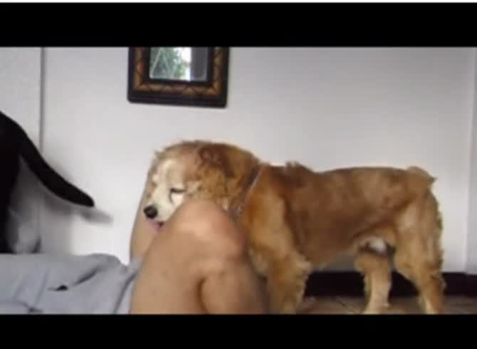 Video :Gay in a hoodie got blowjob from dog and have dog anal sex